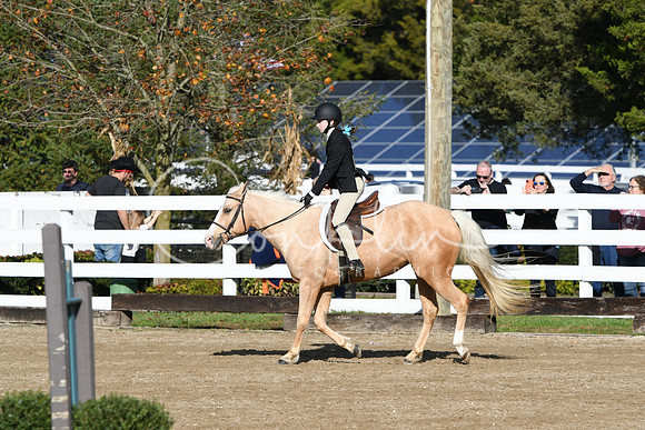 HSM_1564