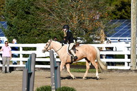HSM_1565