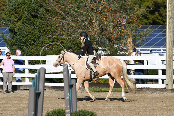 HSM_1565