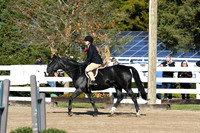 HSM_1567