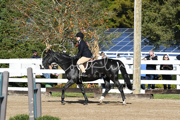 HSM_1567