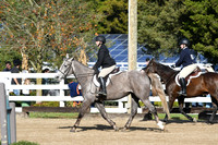 HSM_1568