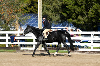 HSM_1566