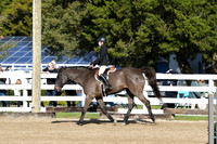 HSM_1569