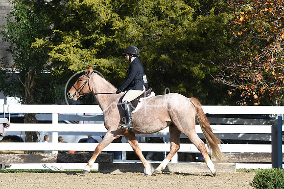 HSM_1573