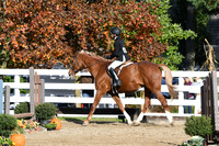 HSM_1575