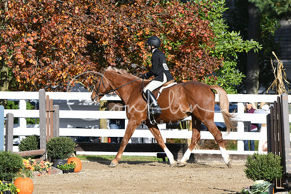 HSM_1575