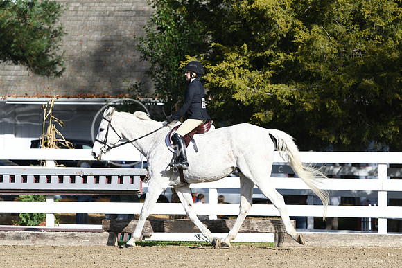 HSM_1574