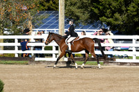HSM_1572
