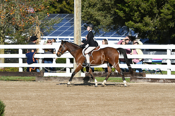 HSM_1572