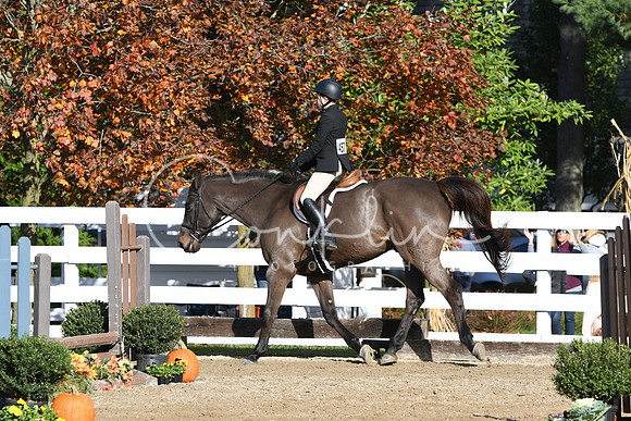 HSM_1576