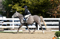 HSM_1577