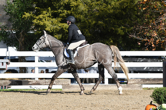 HSM_1577