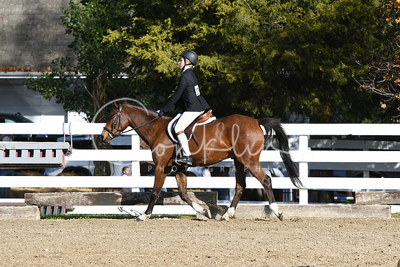 HSM_1578