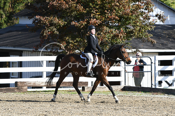 HSM_1581