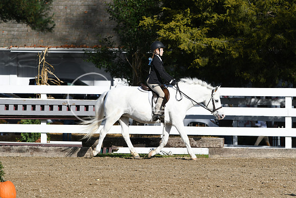 HSM_1583