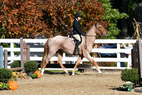 HSM_1585