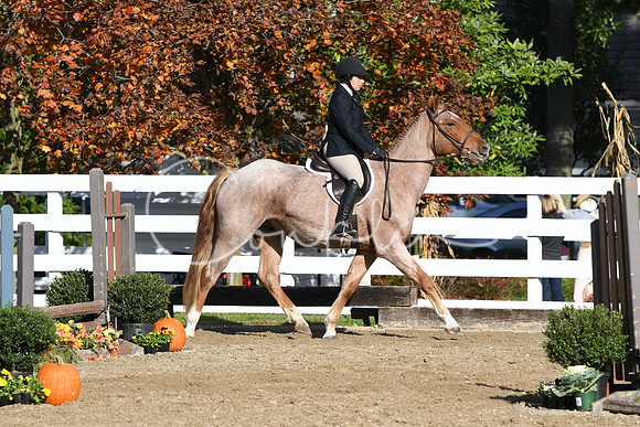 HSM_1585