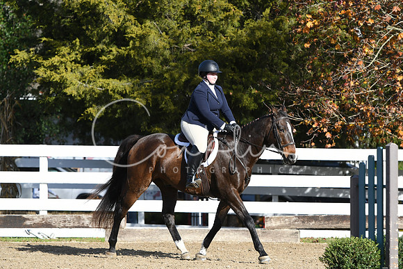 HSM_1584