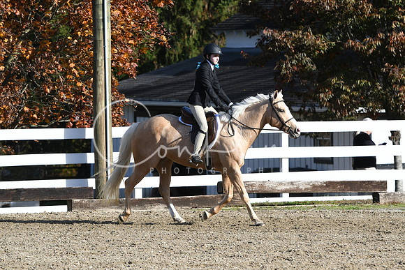 HSM_1590