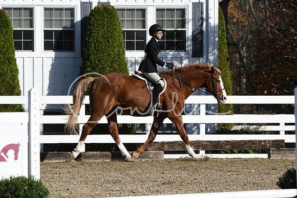 HSM_1593