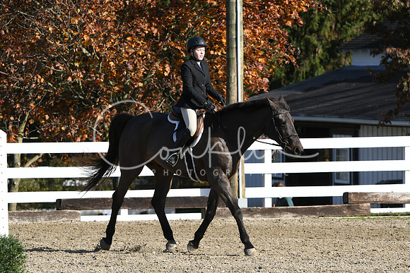 HSM_1595