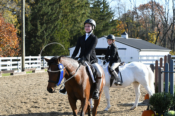 HSM_1611
