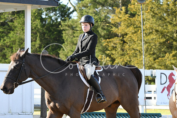 HSM_1619