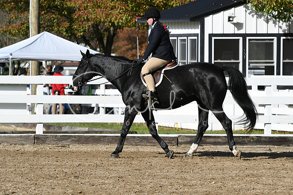 HSM_1623