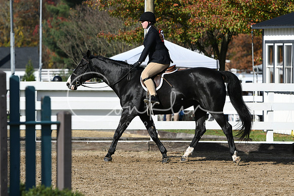 HSM_1624
