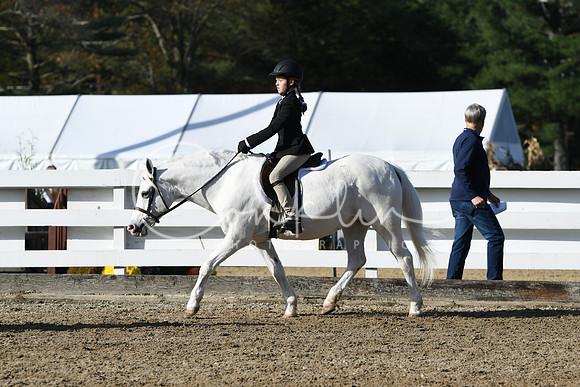 HSM_1626