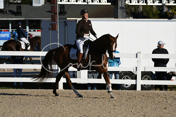 HSM_4290