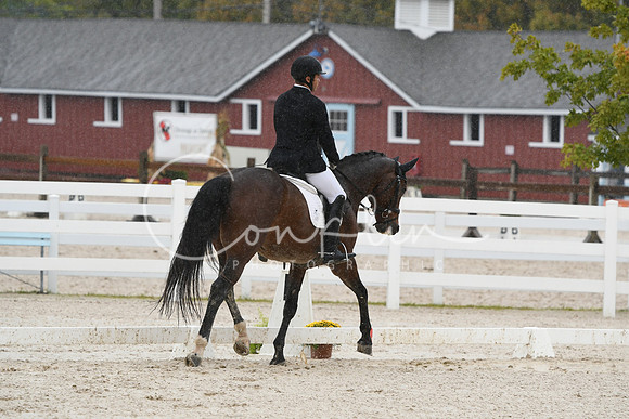HSM_0475
