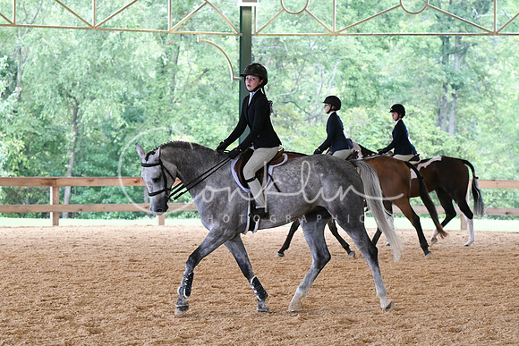 HSM_2454