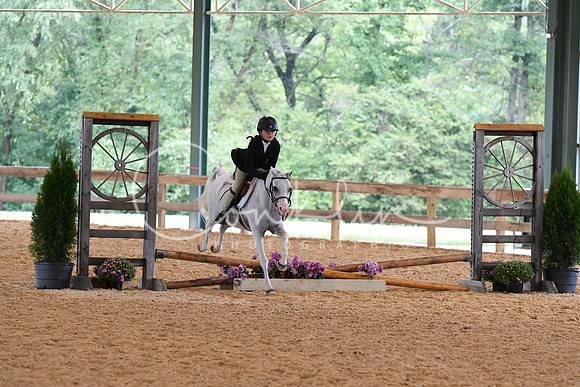 HSM_6593