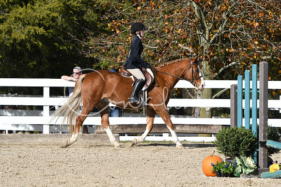 HSM_2790