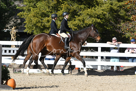 HSM_2785