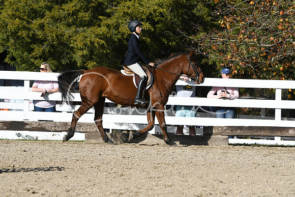 HSM_2786