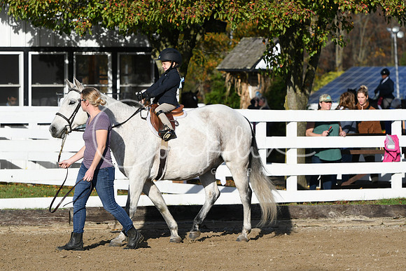 HSM_1346