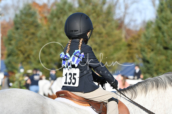 HSM_1353