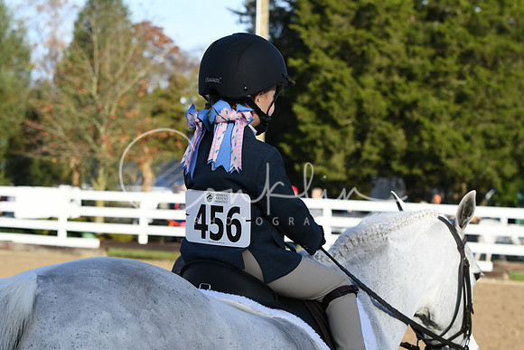 HSM_1363