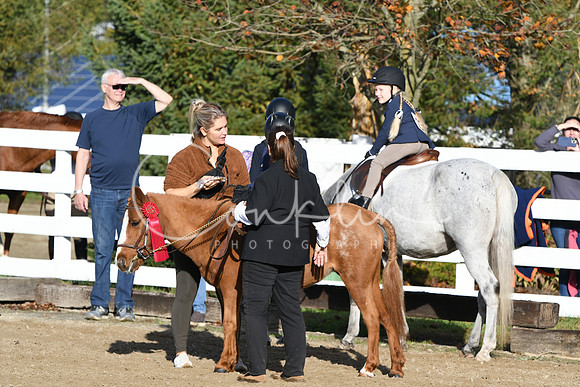 HSM_1401