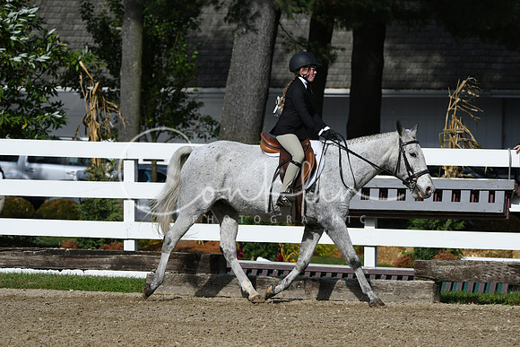 HSM_2135