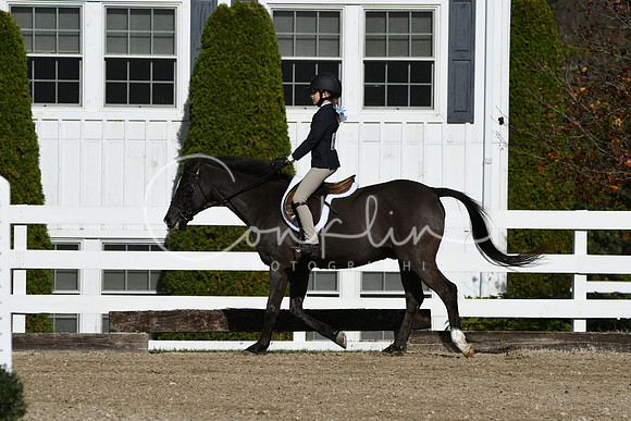 HSM_2079