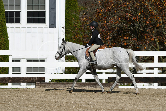HSM_2078