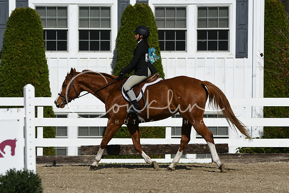 HSM_2081