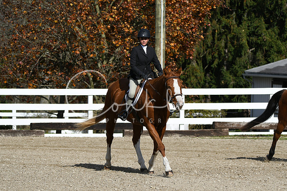 HSM_2083