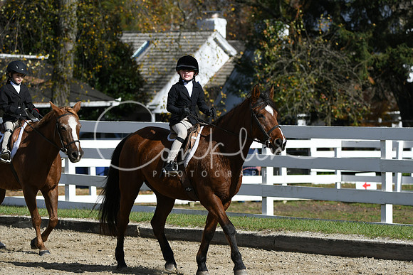 HSM_2085
