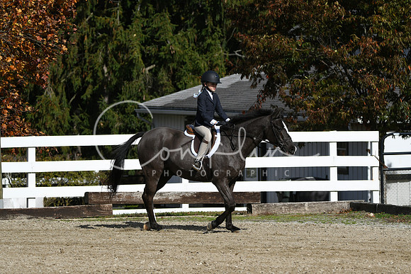 HSM_2088