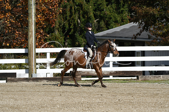 HSM_2089